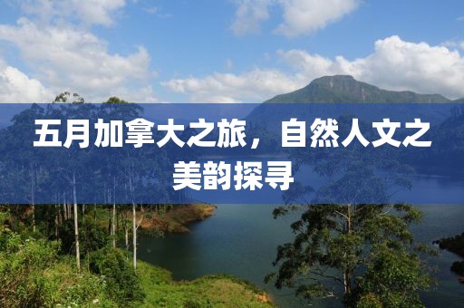 輪式挖掘機配件 第6頁