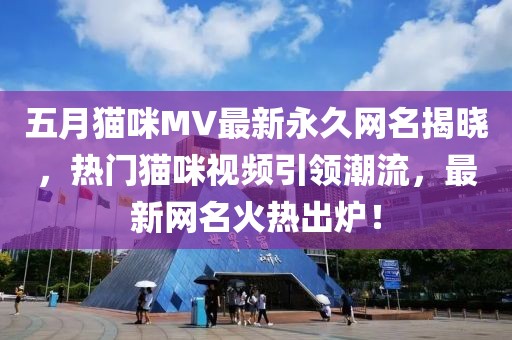 五月貓咪MV最新永久網(wǎng)名揭曉，熱門(mén)貓咪視頻引領(lǐng)潮流，最新網(wǎng)名火熱出爐！