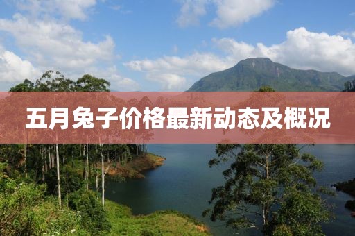 五月兔子價(jià)格最新動(dòng)態(tài)及概況