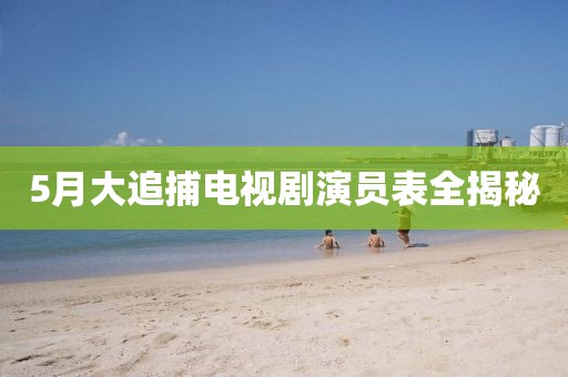 5月大追捕電視劇演員表全揭秘