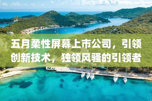 五月柔性屏幕上市公司，引領(lǐng)創(chuàng)新技術(shù)，獨(dú)領(lǐng)風(fēng)騷的引領(lǐng)者