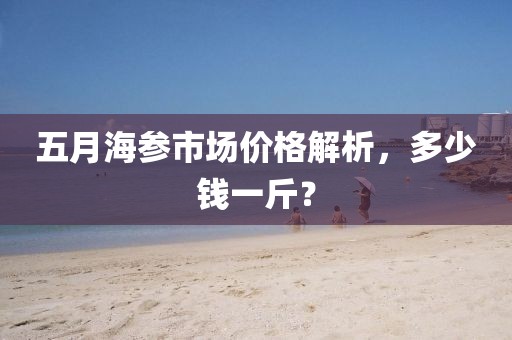 五月海參市場價格解析，多少錢一斤？
