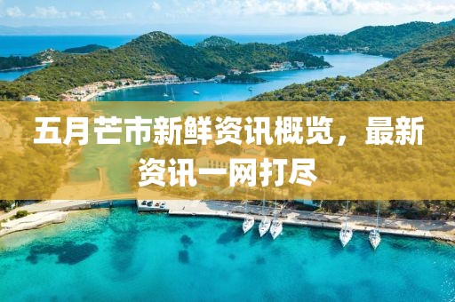 五月芒市新鮮資訊概覽，最新資訊一網(wǎng)打盡