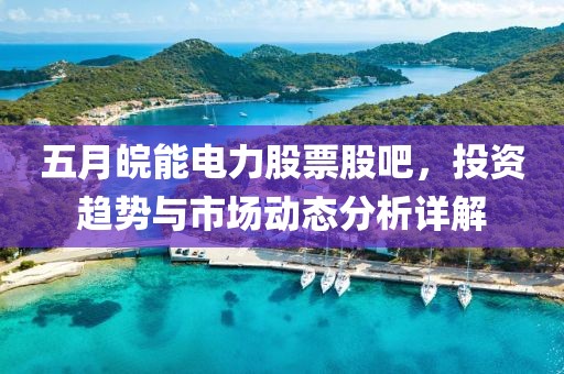 五月皖能電力股票股吧，投資趨勢與市場動態(tài)分析詳解