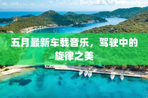 五月最新車載音樂，駕駛中的旋律之美