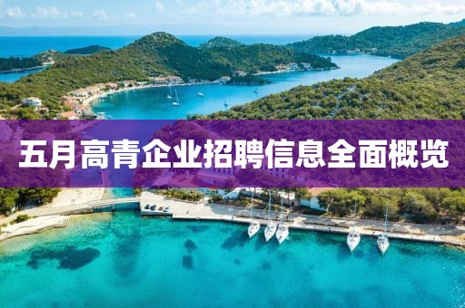 五月高青企業(yè)招聘信息全面概覽