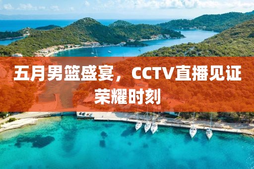 五月男籃盛宴，CCTV直播見證榮耀時刻