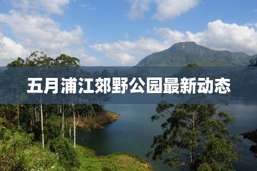 回轉(zhuǎn)馬達(dá) 第3頁(yè)