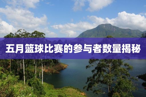 五月籃球比賽的參與者數(shù)量揭秘