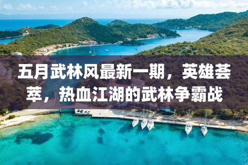 五月武林風(fēng)最新一期，英雄薈萃，熱血江湖的武林爭(zhēng)霸戰(zhàn)