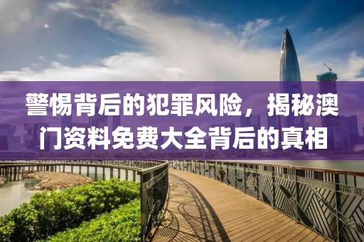 警惕背后的犯罪風(fēng)險(xiǎn)，揭秘澳門資料免費(fèi)大全背后的真相