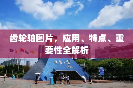 齒輪軸圖片，應用、特點、重要性全解析