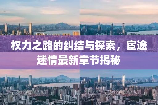 權(quán)力之路的糾結(jié)與探索，宦途迷情最新章節(jié)揭秘