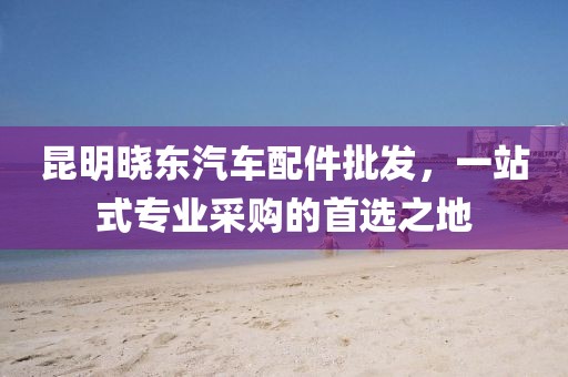 昆明曉東汽車配件批發(fā)，一站式專業(yè)采購的首選之地
