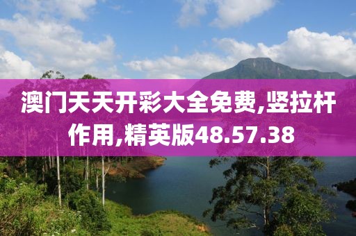 澳門天天開彩大全免費,豎拉桿 作用,精英版48.57.38