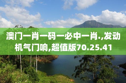 澳門一肖一碼一必中一肖.,發(fā)動機氣門響,超值版70.25.41