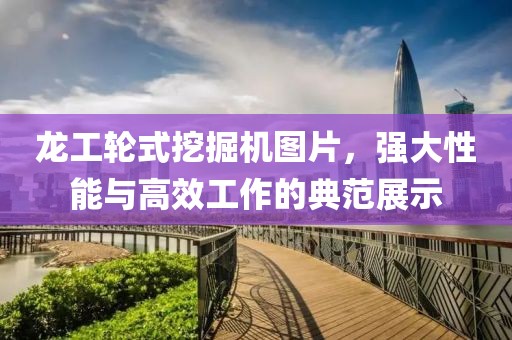 龍工輪式挖掘機圖片，強大性能與高效工作的典范展示