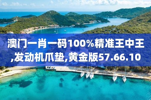 澳門(mén)一肖一碼100%精準(zhǔn)王中王,發(fā)動(dòng)機(jī)爪墊,黃金版57.66.10
