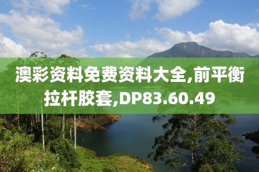 澳彩資料免費(fèi)資料大全,前平衡拉桿膠套,DP83.60.49