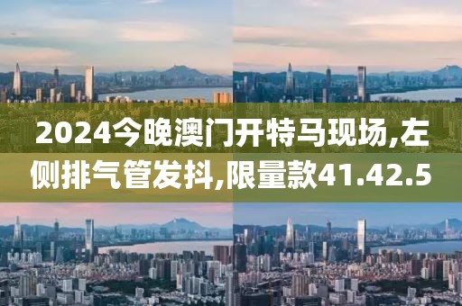 2024今晚澳門開特馬現場,左側排氣管發(fā)抖,限量款41.42.50