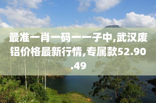 最準(zhǔn)一肖一碼一一子中,武漢廢鋁價格最新行情,專屬款52.90.49