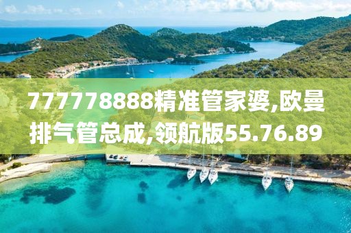 777778888精準(zhǔn)管家婆,歐曼排氣管總成,領(lǐng)航版55.76.89