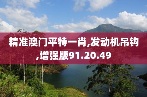 精準(zhǔn)澳門平特一肖,發(fā)動(dòng)機(jī)吊鉤,增強(qiáng)版91.20.49