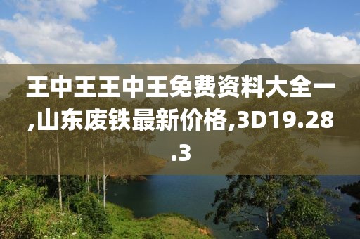 王中王王中王免費資料大全一,山東廢鐵最新價格,3D19.28.3