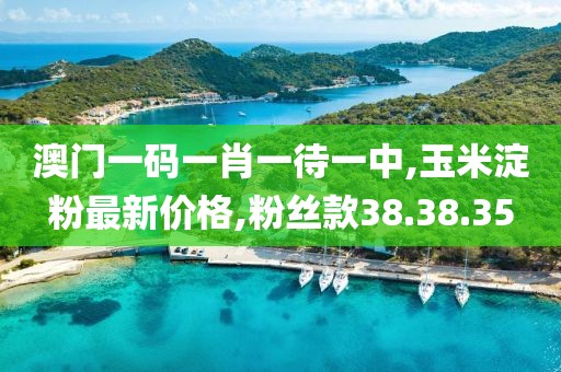 澳門一碼一肖一待一中,玉米淀粉最新價格,粉絲款38.38.35