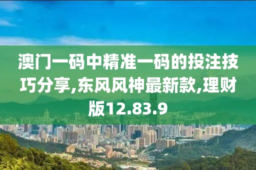 澳門一碼中精準一碼的投注技巧分享,東風風神最新款,理財版12.83.9