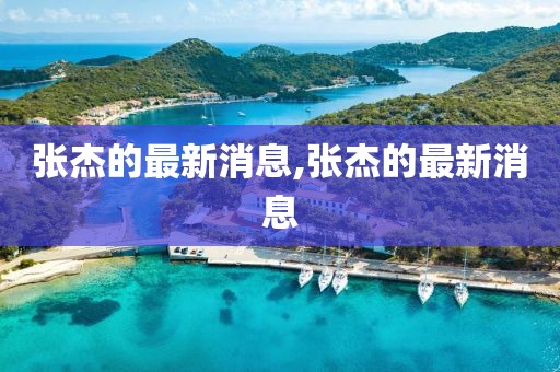 張杰的最新消息,張杰的最新消息