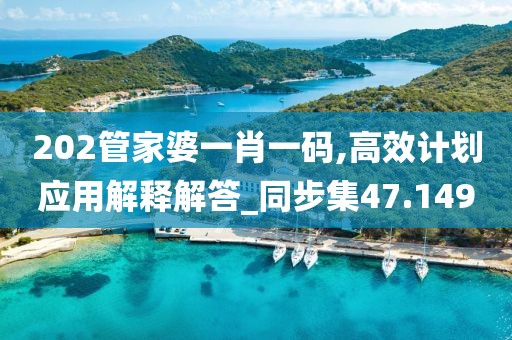 202管家婆一肖一碼,高效計劃應用解釋解答_同步集47.149