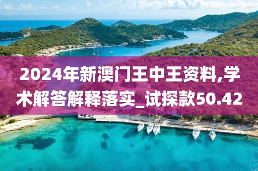 2024年新澳門王中王資料,學(xué)術(shù)解答解釋落實(shí)_試探款50.42