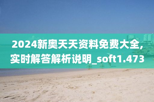 2024新奧天天資料免費大全,實時解答解析說明_soft1.473