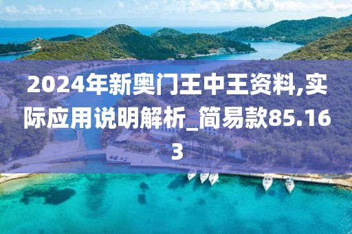 2024年新奧門王中王資料,實際應用說明解析_簡易款85.163