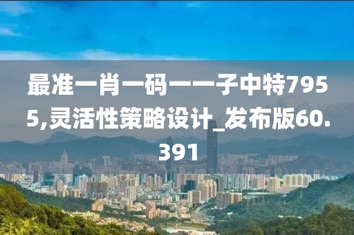 最準一肖一碼一一子中特7955,靈活性策略設計_發(fā)布版60.391