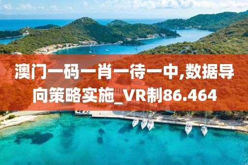 澳門一碼一肖一待一中,數(shù)據(jù)導向策略實施_VR制86.464