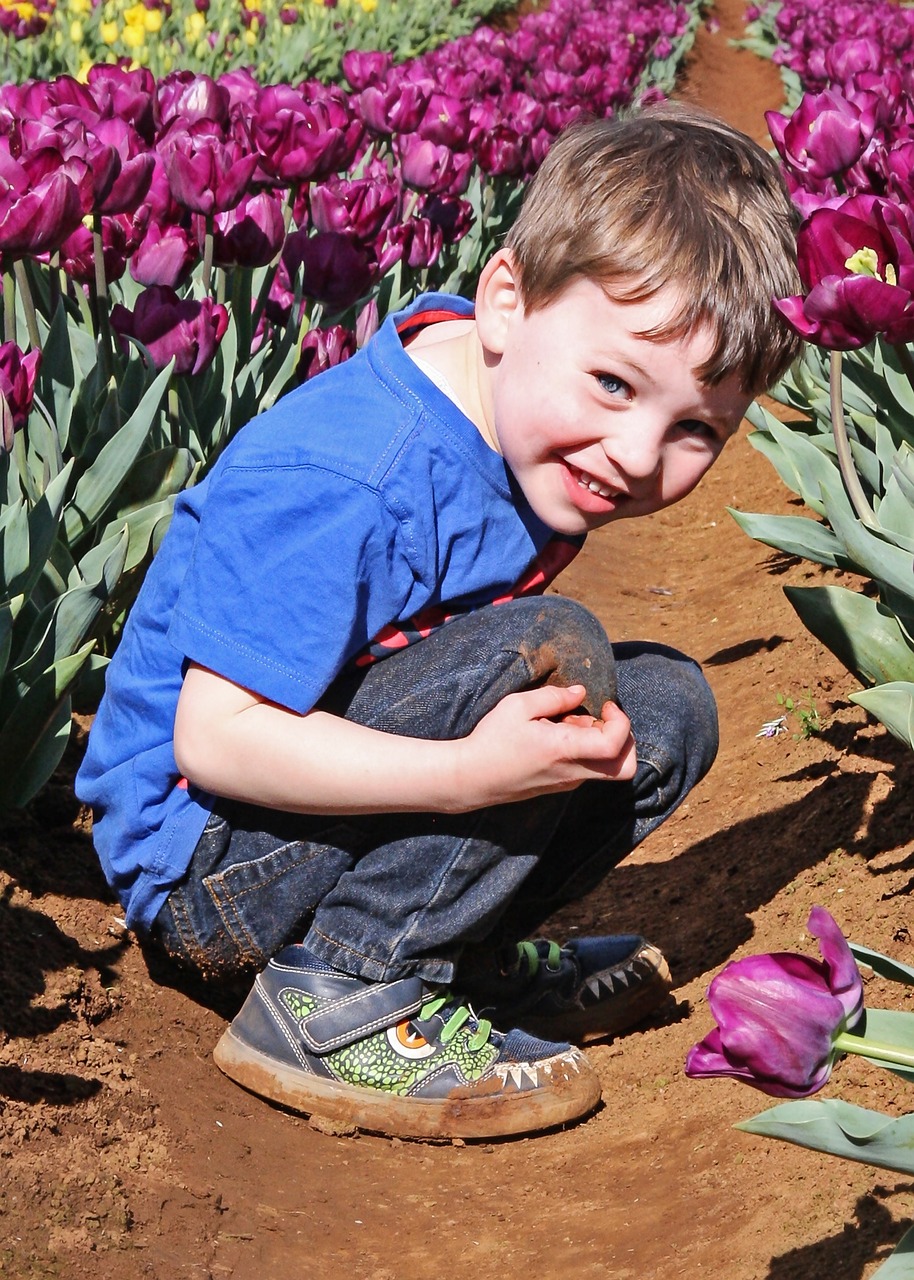 三伏天的炙熱挑戰(zhàn)與應(yīng)對策略