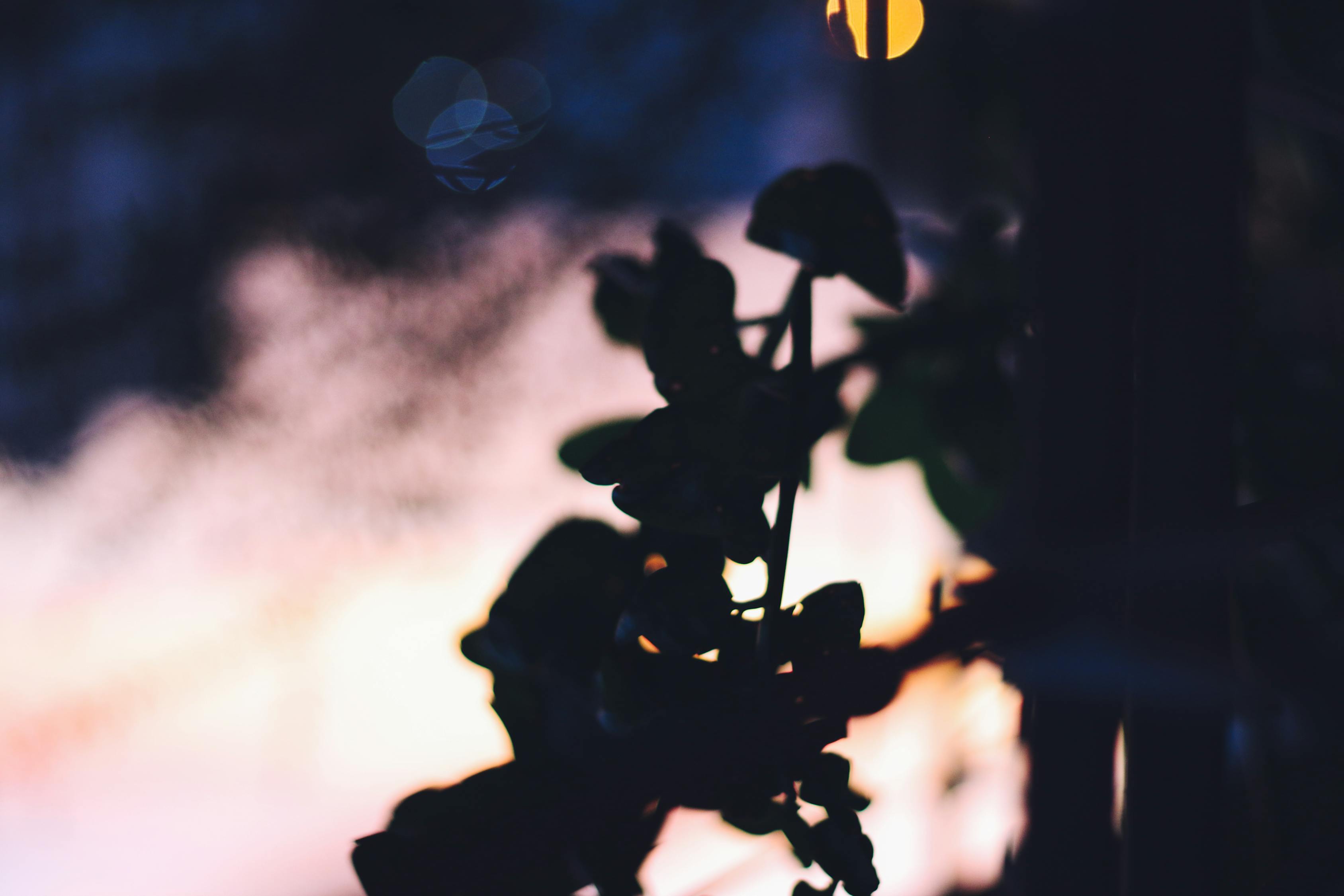 YouTube，數(shù)字時代的雙刃劍——犯罪與合規(guī)的博弈挑戰(zhàn)