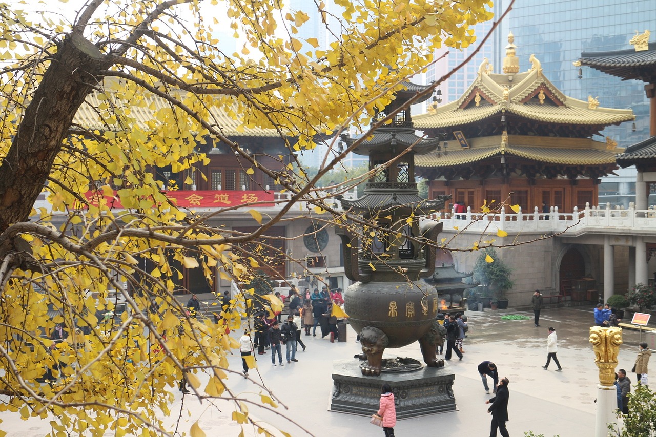 斯坦福大學(xué)，創(chuàng)新與卓越的培育圣地