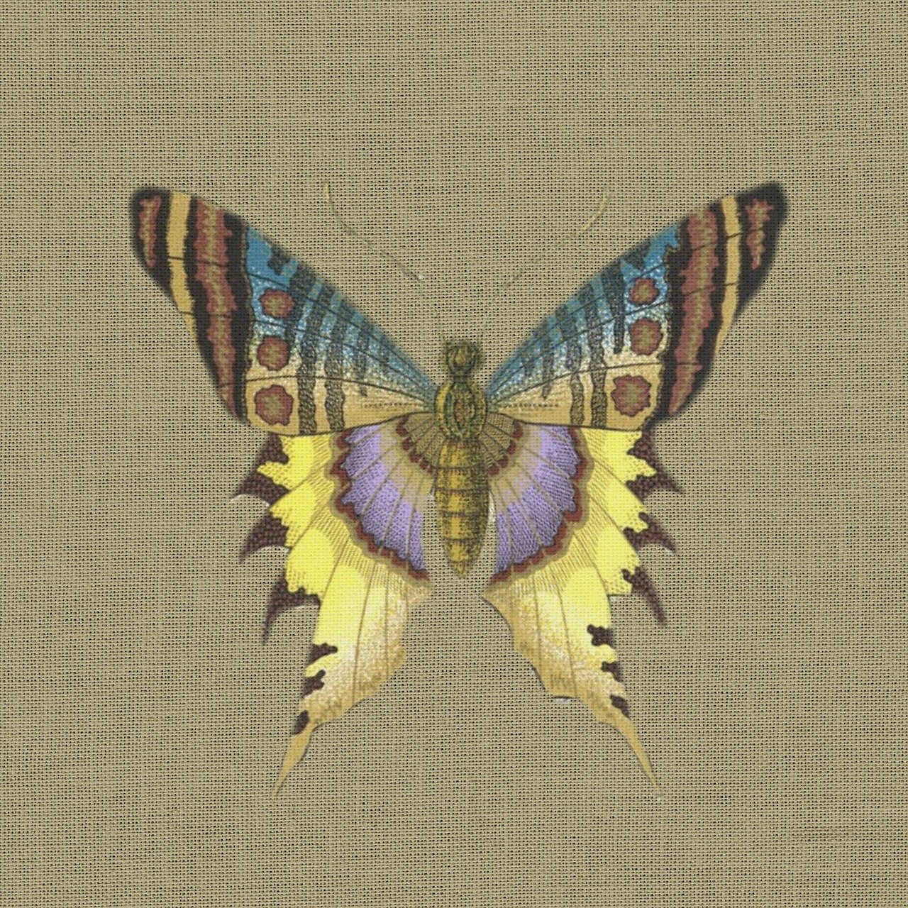 適用性執(zhí)行方案：管家婆三肖一碼一定中特_動(dòng)態(tài)版46.96.62