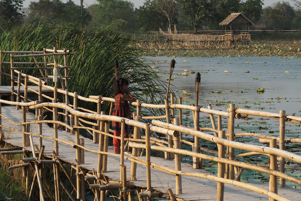 廣東觀音山公園摘牌風(fēng)波背后的回應(yīng)與未來展望