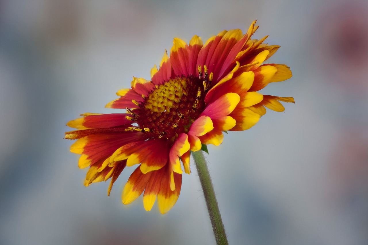 大暑，炎熱極致中的生活韻律