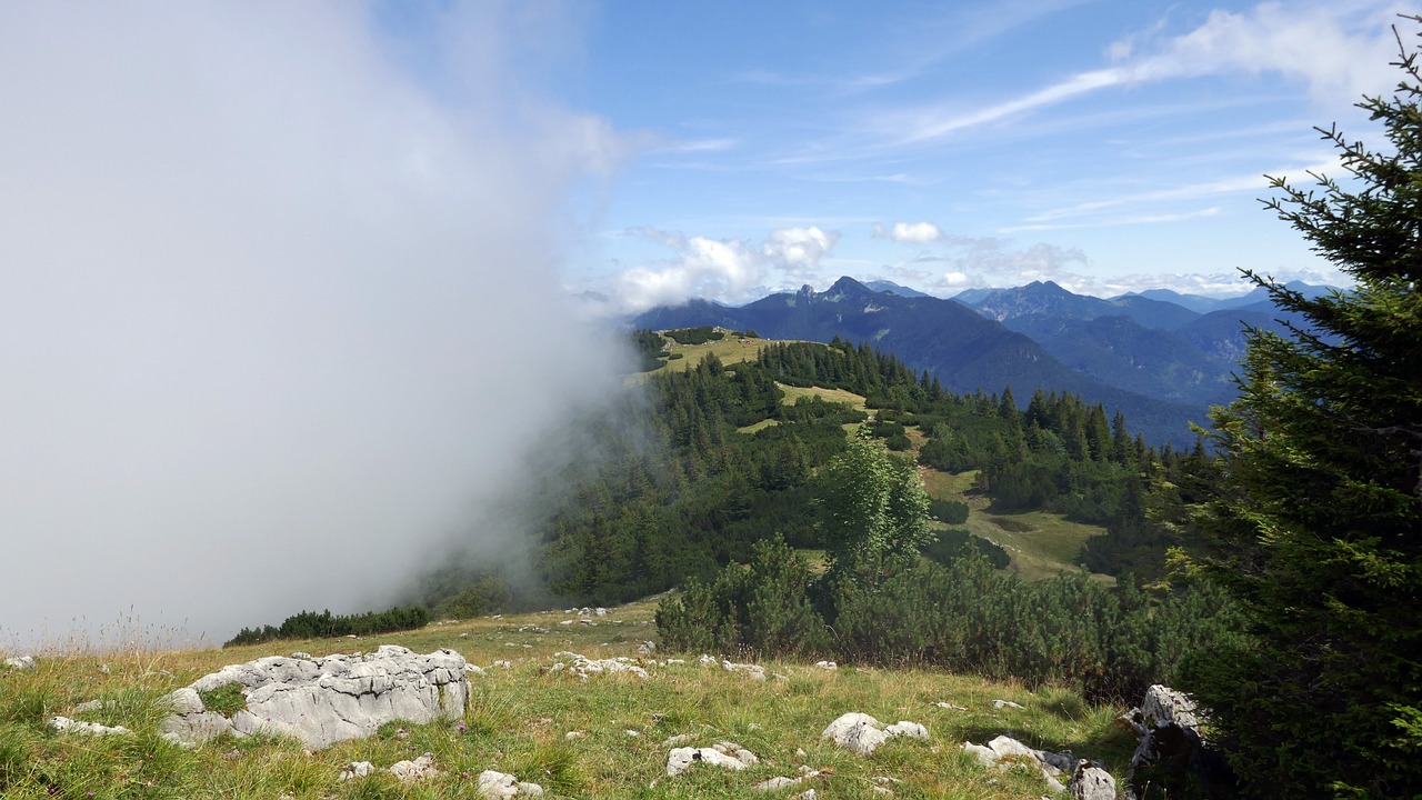 山海協(xié)作，山與海的雙向奔赴之旅