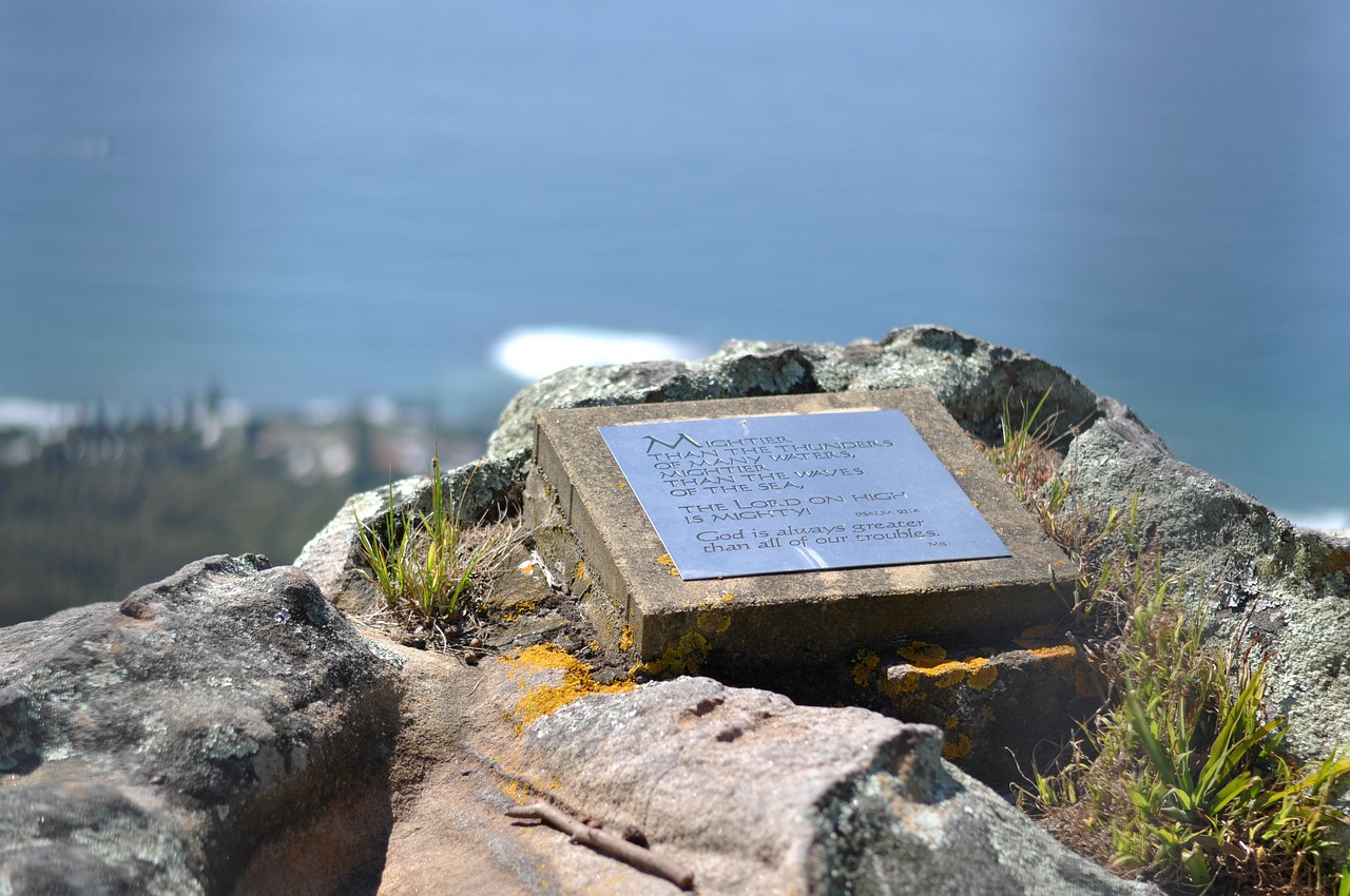 今日鐵礦石價(jià)格動態(tài)分析與最新行情