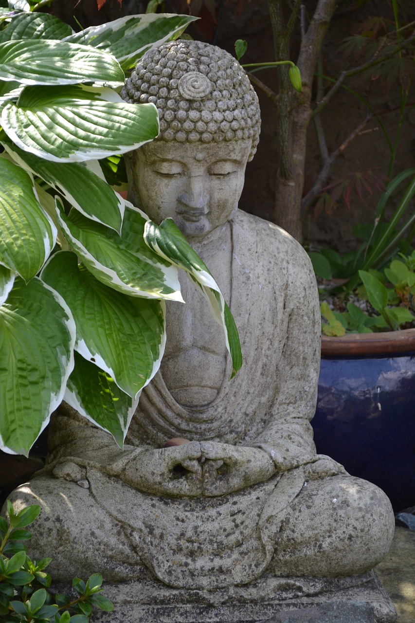 新奧正版全年免費(fèi)資料,動(dòng)態(tài)詞語(yǔ)解釋落實(shí)_精英版201.124
