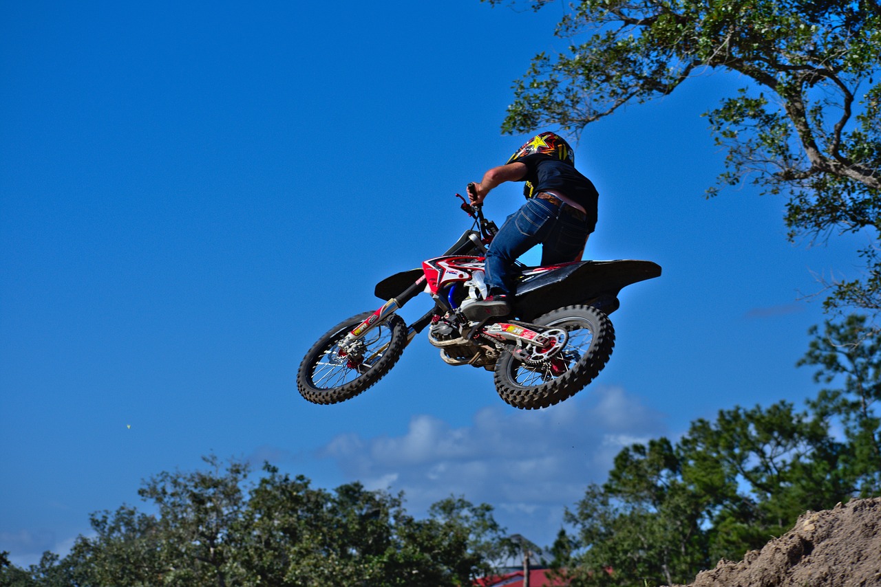 2024新澳精準(zhǔn)資料免費(fèi)提供下載,最新版本田,4K90.78.36