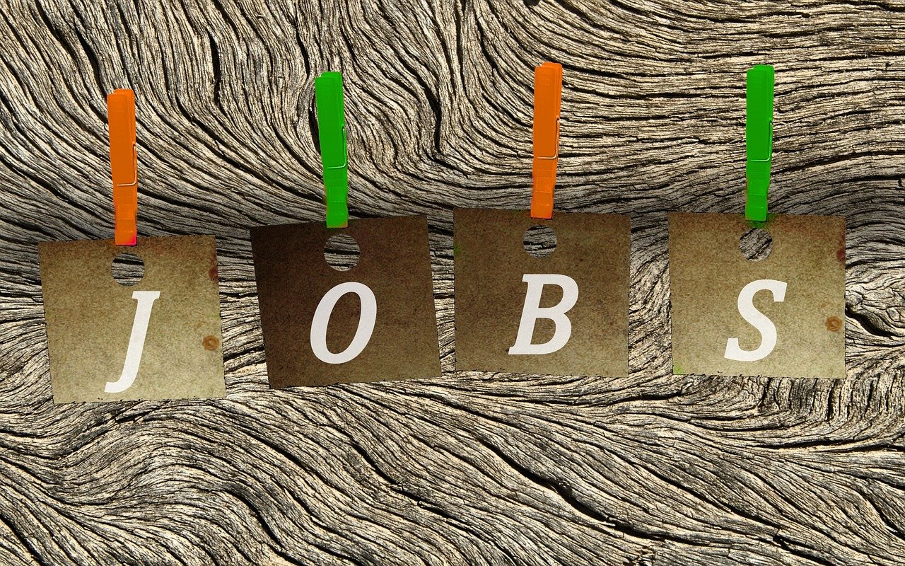 通化最新招聘,通化最新招聘動(dòng)態(tài)及職業(yè)機(jī)會(huì)探討