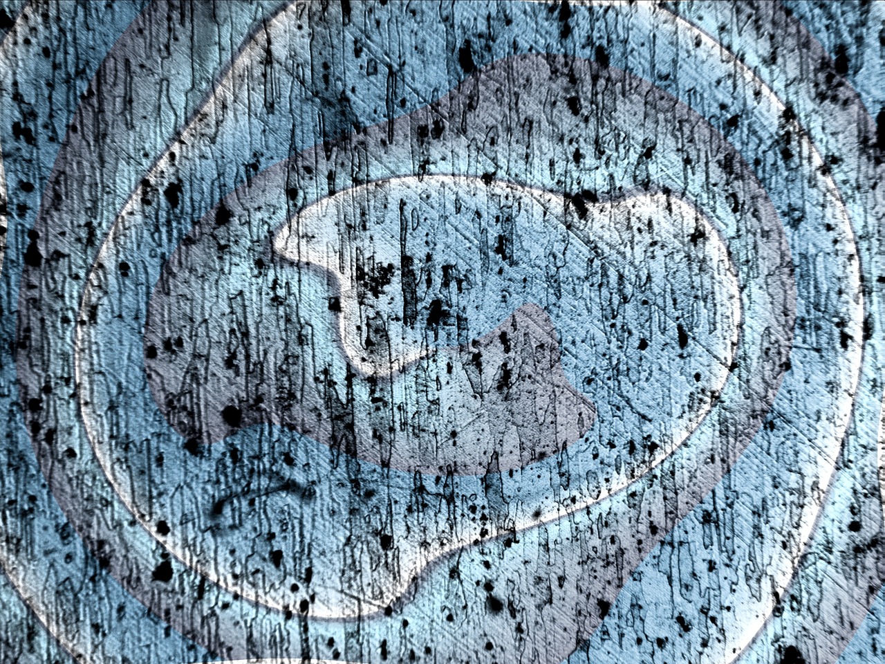 螞蟻金服借殼最新動態(tài)，金融科技領(lǐng)域的矚目焦點