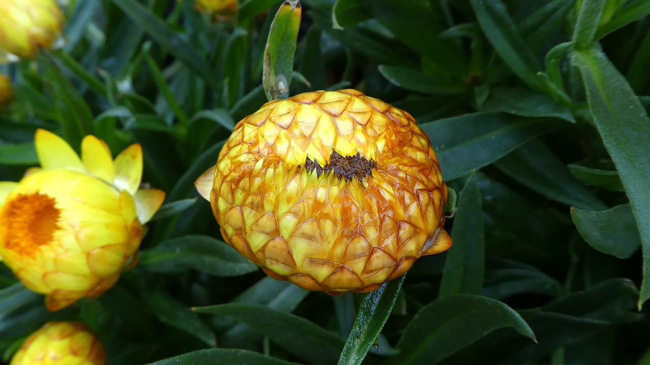 白小姐期期開獎(jiǎng)一肖一特,動(dòng)態(tài)研究解答解釋計(jì)劃_MT96.532